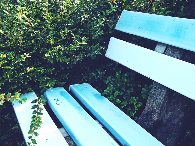 在国内联赛 在国内联赛