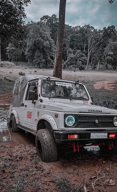 刘少昂为何 刘少昂为何